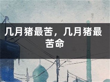 几月猪最苦，几月猪最苦命