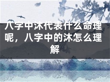 八字中沐代表什么命理呢，八字中的沐怎么理解