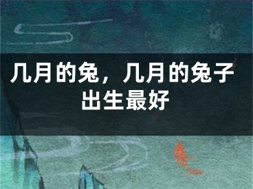 几月的兔，几月的兔子出生最好