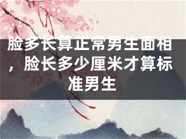 脸多长算正常男生面相，脸长多少厘米才算标准男生