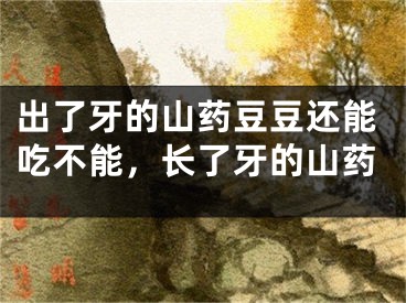出了牙的山药豆豆还能吃不能,长了牙的山药