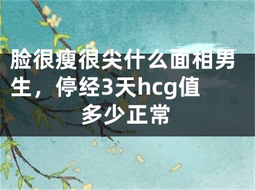 脸很瘦很尖什么面相男生，停经3天hcg值多少正常