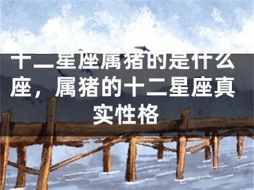 十二星座属猪的是什么座，属猪的十二星座真实性格