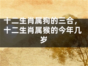 十二生肖属狗的三合,十二生肖属猴的今年几岁