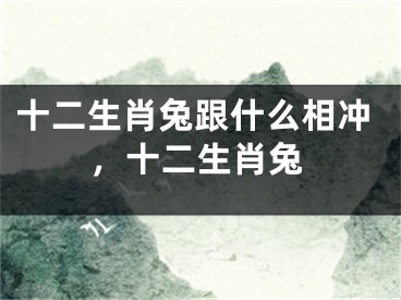 十二生肖兔跟什么相冲，十二生肖兔