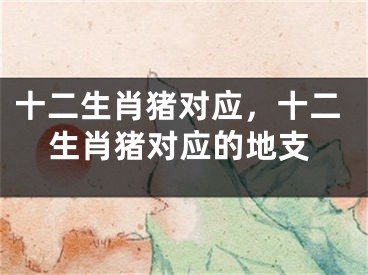 十二生肖猪对应，十二生肖猪对应的地支