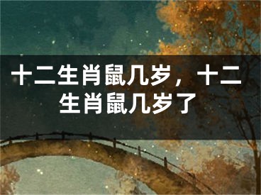 十二生肖鼠几岁,十二生肖鼠几岁了