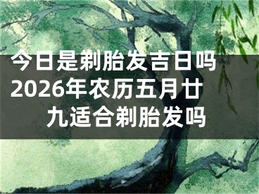 今日是剃胎发吉日吗 2026年农历五月廿九适合剃胎发吗