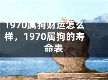 1970属狗财运怎么样，1970属狗的寿命表