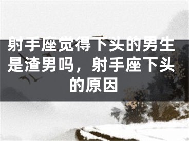 射手座觉得下头的男生是渣男吗,射手座下头的原因
