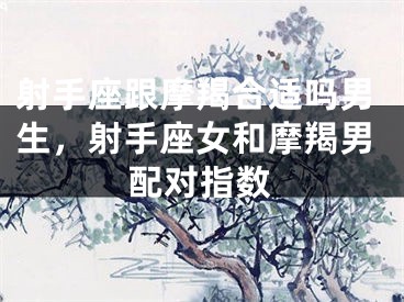 射手座跟摩羯合适吗男生,射手座女和摩羯男配对指数