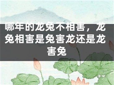 哪年的龙兔不相害,龙兔相害是兔害龙还是龙害兔