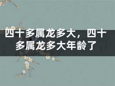 四十多属龙多大,四十多属龙多大年龄了