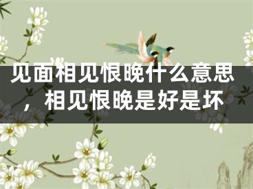见面相见恨晚什么意思，相见恨晚是好是坏 
