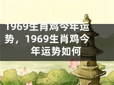 1969生肖鸡今年运势，1969生肖鸡今年运势如何