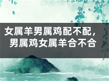 女属羊男属鸡配不配，男属鸡女属羊合不合