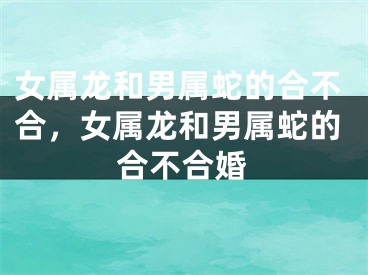 女属龙和男属蛇的合不合,女属龙和男属蛇的合不合婚