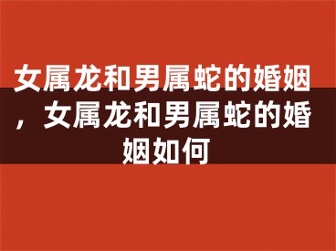 女属龙和男属蛇的婚姻,女属龙和男属蛇的婚姻如何