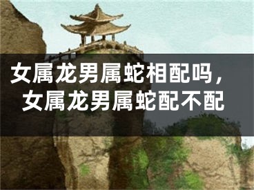 女属龙男属蛇相配吗,女属龙男属蛇配不配