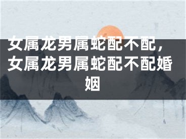女属龙男属蛇配不配，女属龙男属蛇配不配婚姻