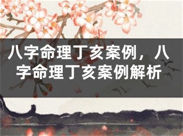 八字命理丁亥案例，八字命理丁亥案例解析