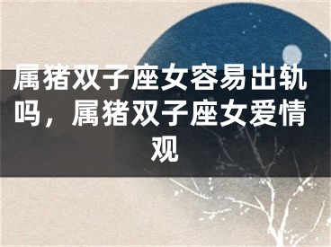 属猪双子座女容易出轨吗,属猪双子座女爱情观