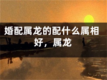 婚配属龙的配什么属相好,属龙