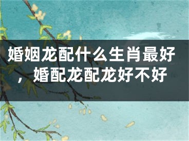 婚姻龙配什么生肖最好,婚配龙配龙好不好