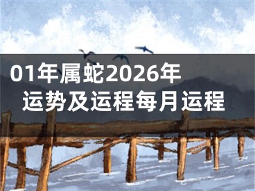 01年属蛇2026年运势及运程每月运程