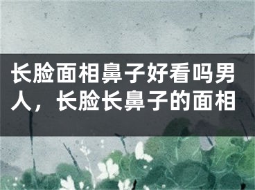 长脸面相鼻子好看吗男人，长脸长鼻子的面相