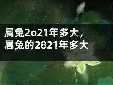 属兔2o21年多大,属兔的2821年多大