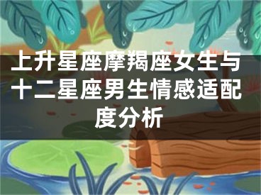 上升星座摩羯座女生与十二星座男生情感适配度分析
