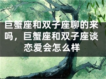 巨蟹座和双子座聊的来吗，巨蟹座和双子座谈恋爱会怎么样