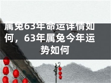 属兔63年命运详情如何，63年属兔今年运势如何