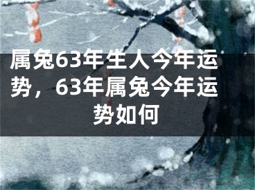 属兔63年生人今年运势,63年属兔今年运势如何