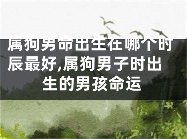 属狗男命出生在哪个时辰最好,属狗男子时出生的男孩命运