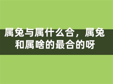 属兔与属什么合，属兔和属啥的最合的呀