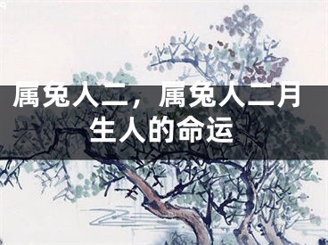 属兔人二，属兔人二月生人的命运