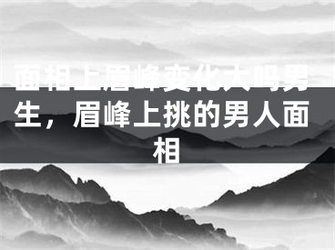 面相上眉峰变化大吗男生,眉峰上挑的男人面相