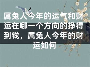 属兔人今年的运气和财运在哪一个方向的挣得到钱，属兔人今年的财运如何