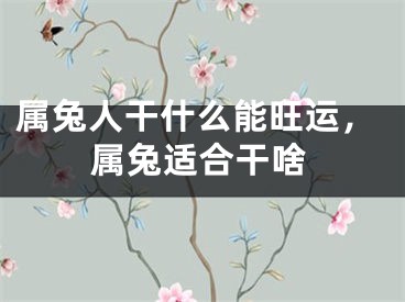 属兔人干什么能旺运，属兔适合干啥