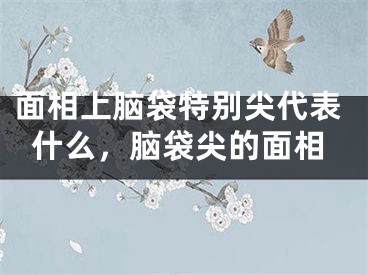 面相上脑袋特别尖代表什么,脑袋尖的面相