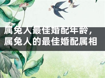 属兔人最佳婚配年龄，属兔人的最佳婚配属相