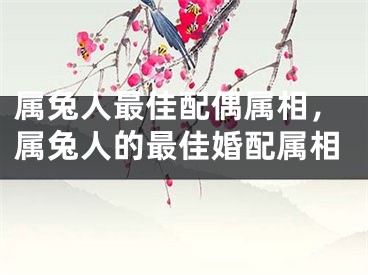 属兔人最佳配偶属相，属兔人的最佳婚配属相