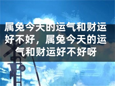 属兔今天的运气和财运好不好，属兔今天的运气和财运好不好呀