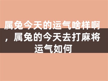 属兔今天的运气啥样啊，属兔的今天去打麻将运气如何