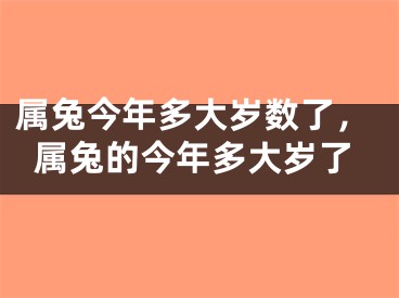 属兔今年多大岁数了，属兔的今年多大岁了