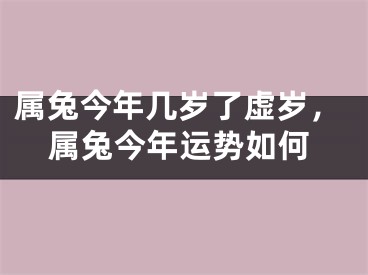 属兔今年几岁了虚岁,属兔今年运势如何