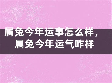 属兔今年运事怎么样，属兔今年运气咋样