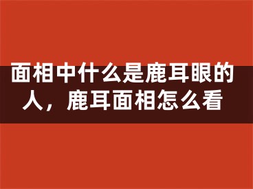面相中什么是鹿耳眼的人,鹿耳面相怎么看